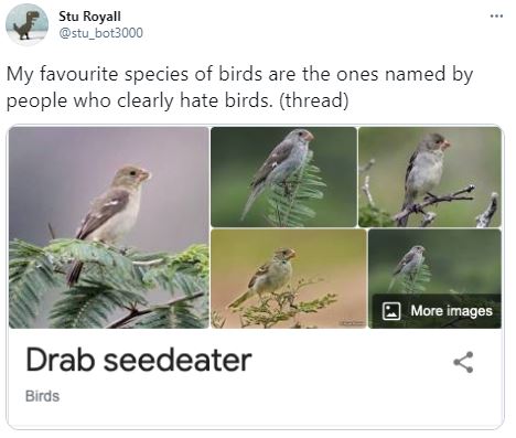 Birds - Ornithologists - 1.JPG